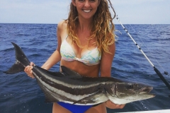 jj-cobia