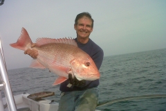 Red-snapper-warren