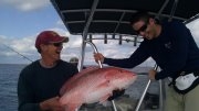 red-snapper-drew